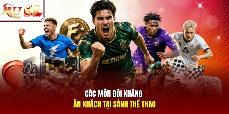 cac-mon-doi-khang-an-khach-tai-sanh-the-thao Các môn đối kháng ăn khách tại sảnh thể thao