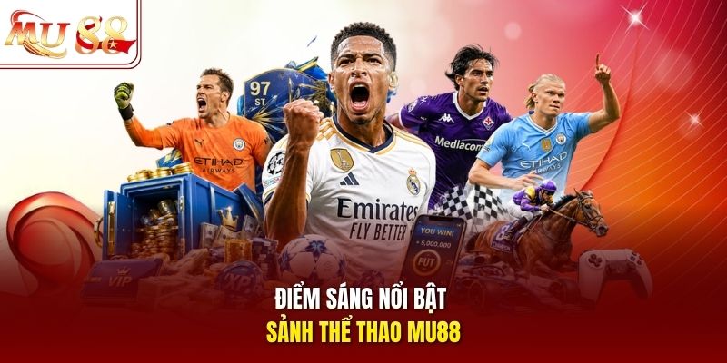 diem-sang-noi-bat-sanh-the-thao-mu88 Điểm sáng nổi bật sảnh thể thao mu88