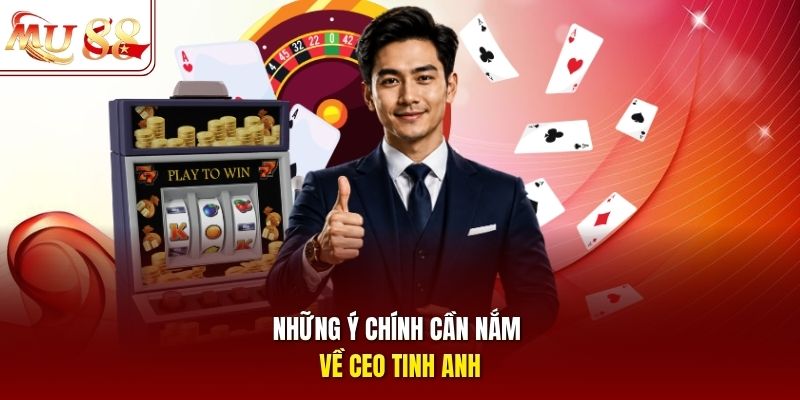 nhung-y-chinh-can-nam-ve-ceo-tinh-anh Những ý chính cần nắm về CEO Tinh Anh