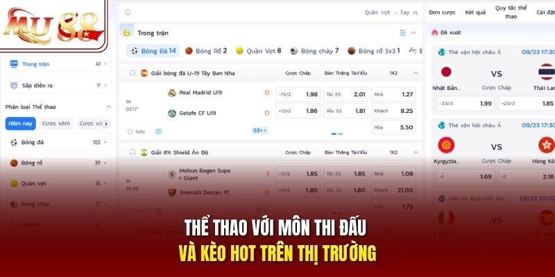 the-thao-voi-mon-thi-dau-va-keo-hot-tren-thi-truong Thể thao với môn thi đấu và kèo hot trên thị trường
